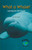 What a Whale! - 9780823982745 by Ilse Battistoni, 9780823982745