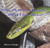 Why Do Some Animals Shed Their Skin? - 9781404255920 by Patricia J. Murphy, 9781404255920