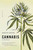 Cannabis (A History) by Martin Booth, 9780312424947
