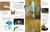 Eyewitness Animal by DK, 9780593843819