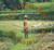 El ciclo del arroz, el ciclo de la vida (Un cuento sobre la agricultura sostenible (Cycle of Rice, Cycle of Life: A Story of Sustainable Farming)) by Jan Reynolds, Jan Reynolds, 9781643795362