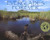 Everglades Forever (Restoring America's Great Wetland) by Trish Marx, Cindy Karp, 9781600603396