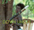 Vanishing Cultures: Down Under by Jan Reynolds, Jan Reynolds, 9781600601262