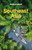 Lonely Planet Southeast Asia by Simon Richmond, Morgan Awyong, Austin Bush, Jayne D'Arcy, David Eimer, Mark Eveleigh, Marco Ferrarese, Michael Grosberg, Paul Harding, Nick Ray, Sarah Reid, Kara Santos, Cheng Sim, Aydan Stuart, Barbara Woolsey, Joshua Zukas, Ria de Jong, 9781787016521
