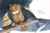 Owl Moon - 9780593692875 by Jane Yolen, John Schoenherr