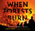 When Forests Burn (The Story of Wildfire in America) - 9780593121733 by Albert Marrin, 9780593121733