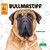 Bullmastiff by Corinne Fickett, 9781039844735