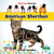 American Shorthair by Bernard Conaghan, 9781039838475