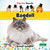 Ragdoll - 9781039839298 by Bernard Conaghan, 9781039839298