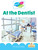 At the Dentist - 9781039854987 by Christina Earley, 9781039854987