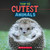 Cutest Animals (Wild World: Top 10) by Brenna Maloney, 9781546136118