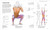Science of Swimming (Transform Your Stroke, Improve Strength, Revolutionize Your Training) by Brett Hawke, 9780593844328