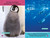 Polar Babies (National Geographic Kids Explore! Readers, Pre-Reader) - 9781426377860 by Maya Myers, National Geographic Kids