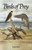 Birds of Prey - 9780820009087 by Ray Ovington
