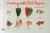 Cooking With Chile Peppers by Coleen Simmons, Bob Simmons, 9781558671492