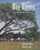 Big Trees (The Florida Register) by Daniel B. Ward, Robert T. Ing, 9781885258069