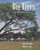 Big Trees (The Florida Register) by Daniel B. Ward, Robert T. Ing, 9781885258069