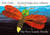 The Very Lonely Firefly/La luciérnaga muy solitaria (Bilingual English-Spanish Edition) by Eric Carle, Eric Carle, 9780593887929