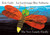 The Very Lonely Firefly/La luciérnaga muy solitaria (Bilingual English-Spanish Edition) by Eric Carle, Eric Carle, 9780593887929