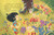 Fairy Door Diaries: Eliza and the Flower Fairies by Megan McDonald, Lenny Wen, 9781536201420