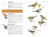 National Geographic Field Guide to the Birds of the United States and Canada-West, 2nd Edition by Ted Floyd, 9781426222788