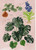 The Junior Plant Lover's Handbook (A Green-Thumb Guide for Kids) by Molly Williams, Michelle Carlos, 9780762485703