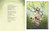 The Poet and the Bees (A Story of the Seasons Sylvia Plath Kept Bees) by Amy Novesky, Jessica Love, 9780593526392