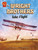The Wright Brothers Take Flight by Nel Yomtov, Daniele Dickmann, 9781669068853