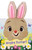 Hoppy Easter! by Grace Baranowski, Kathrin Fehrl, 9781667208367