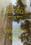 Daffodil (And Other Poems) by Vincent Katz, 9780525656593