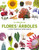 El Libro de las flores y los árboles (Our World in Pictures: Trees, Leaves, Flowers & Seeds) (Spanish Edition) by DK, 9780593963166