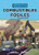 Combustibles fósiles (Fossil Fuels) (Una guía gráfica (A Graphic Guide)) (Spanish Edition) - 9798765663141 by Stephanie Loureiro, Julie Lerche, 9798765663141