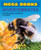 Invertebrates by Nina Filipek, Sophie Giles, 9781482468021
