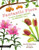 Fantastic Flora: The World's Biggest, Baddest, and Smelliest Plants by Ann Mccallum Staats, Zoë Ingram, 9781536232837 Fantastic Flora: The World's Biggest, Baddest, and Smelliest Plants by Ann Mccallum Staats, Zoë Ingram, 9781536232837