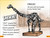 DK Super Readers Level 1 Deadly Dinosaurs - 9780593965924 by DK