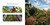 City Summer, Country Summer by Kiese Laymon, Alexis Franklin, 9780593405567