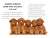 ¿Por qué ladran los perros? (Why Do Dogs Bark? Spanish Edition) - 9780593889190 by Joan Holub, Anna DiVito, Yanitzia Canetti