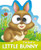 I'm Just a Little Bunny by Sarah Lucy, Barry Green, 9781789584004