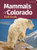 Mammals of Colorado Field Guide (Miniature Edition) - 9781647555108 by Stan Tekiela, 9781647555108