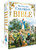 The Golden Children's Bible (A Full-Color Bible for Kids) by Golden Books, Jose Miralles, 9780307165206