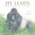 He Leads (Mountain Gorilla, the Gentle Giant) by June Smalls, Yumi Shimokawara, 9781641706483