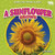 A Sunflower Grows by Rex Ruby, 9798892327770