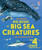 Big Book of Big Sea Creatures by Minna Lacey, Fabiano Fiorin, 9781836050315