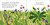 Pop-Up Peekaboo! Flower by DK, 9780593965283