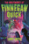The Nightmares of Finnegan Quick by Larry Hayes, 9781547617159