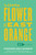 The Little Flower of East Orange (A Play) by Stephen Adly Guirgis, 9780865479012