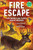 Fire Escape (How Animals and Plants Survive Wildfires) - 9780823460687 by Jessica Stremer, Michael Garland, 9780823460687