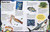 Sticker Encyclopedia Sharks (More Than 600 Stickers) by DK, 9780744098396