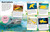 Sticker Encyclopedia Sharks (More Than 600 Stickers) by DK, 9780744098396