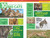 National Geographic Kids Almanac 2026 by National Geographic Kids, 9781426377815